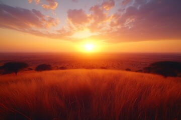 Wall Mural - Vibrant sunset over golden savanna grassland.