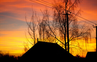 Wall Mural - A house with a tree in front of it and a power line above it