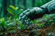 © photolas - Robotic Hand Planting Sprout in Soil