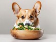© Jakrapan - A cute corgi eagerly enjoys a bowl of fresh vegetables, showcasing a healthy meal for pets.