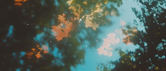 Aufkleber - Glowing trees illuminate a magical forest with ethereal leaves under a starry sky at twilight