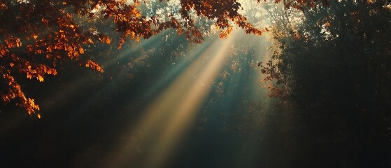 Poster - Glowing trees create a magical ambiance with ethereal leaves in a sunlit forest