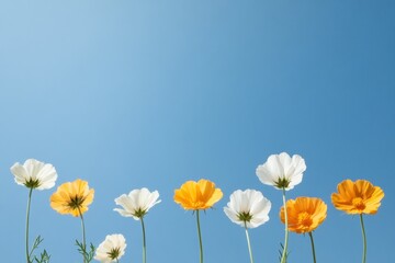 Poster - Vivid Spring Meadow Aesthetic Wildflower Blend Against Clear Sky for Eco-Friendly Branding and Nature Marketing in Wellness and Lifestyle Industries