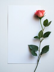 Poster - Elegant pink rose resting on a blank sheet of paper creating a serene composition for creative design projects. Generative AI