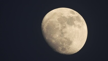 Wall Mural - night time full moon close up .