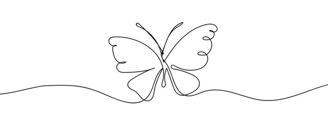 Wall Mural - Butterfly spreads its wings, line art, vector on transparent background.