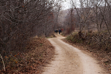 Poster - people walking in nature in autumn