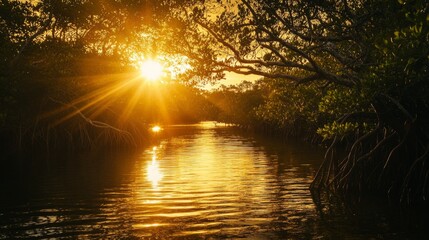 Leinwandbilder - A picturesque mangrove landscape during sunset, with golden rays illuminating the trees and water, creating a tranquil and magical atmosphere