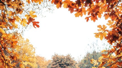 Aufkleber - Beautiful autumn foliage creating a vibrant frame against a bright sky in a tranquil natural setting. Generative AI