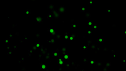 Wall Mural - blurred green embers sparks on black background . texture isolated overlays. concept of particles, s