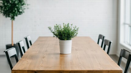 Poster - Large wooden conference table with plant and black chairs in a bright room