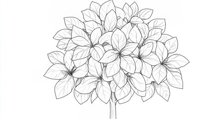 Wall Mural - stylized tree illustration with lush foliage, a coloring page design on white background
