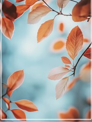 Poster - Colorful autumn leaves against a soft blurred background creating a serene natural ambiance for text placement. Generative AI