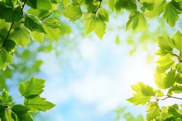 Aufkleber - Bright and vibrant green leaves framing a sunny blue sky in springtime. Generative AI