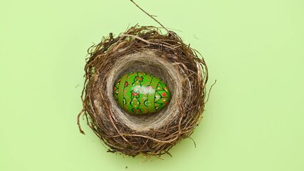 Wall Mural - bird nest with easter eggs