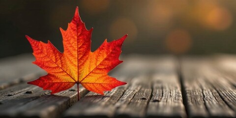 Wall Mural - A Single Autumn Leaf Rests on a Weathered Wooden Surface, Bathed in Soft Golden Light