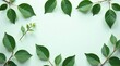© yut - Fresh Green Leaves Arranged in a Frame on a Pale Green Background, Ideal for Eco-Friendly Designs or Nature-Themed Projects
