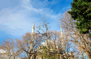 Wall Mural - View of historical Eyup sultan mosque (cami)  and pigeons on the trees in the eyup town istanbul 