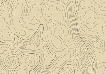 Fototapete - Topographic map background with altitude lines. Abstract terrain topography with elevation levels of the relief