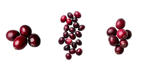 Poster - Fresh cranberries in red falling against a transparent backdrop