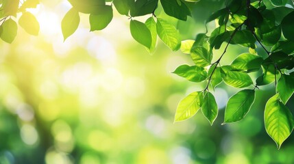 Aufkleber - Bright green leaves create a tranquil atmosphere in a peaceful forest during daylight hours. Generative AI