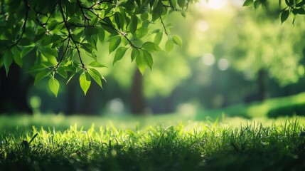 Poster - Lush green leaves and serene grassy area create a peaceful atmosphere perfect for creative text placement. Generative AI