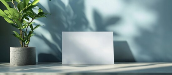 Poster - Minimalist workspace with blank white card on a wooden desk against a green wall and a potted plant with shadows Copy Space