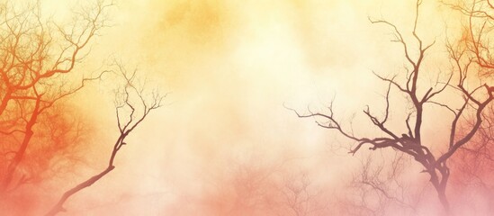 Poster - Abstract background with foggy overlay and dark tree silhouettes against a warm gradient sky Copy Space