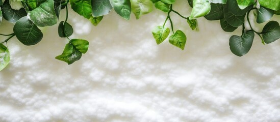 Poster - Green leaves on white textured background with copy space for text placement