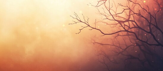 Poster - Mystical foggy landscape at dawn with bare tree branches silhouettes and warm color gradient Copy Space