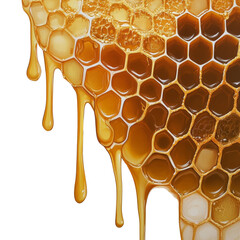 Poster - A close-up image of a honeycomb filled with honey, dripping down on a black background.