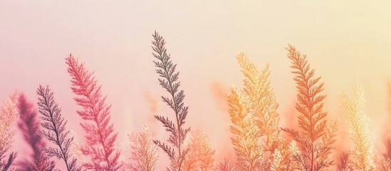 Aufkleber - Serene Autumn Gradient Background Featuring Delicate Pink and Orange Plants with Ample Soft Space for Text Placement in a Tranquil Setting