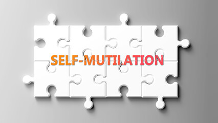 Poster - Self-Mutilation complex like a puzzle - pictured as word self-mutilation on a puzzle pieces to show that self-mutilation is complex and needs cooperating pieces that fit together. ,3d illustration