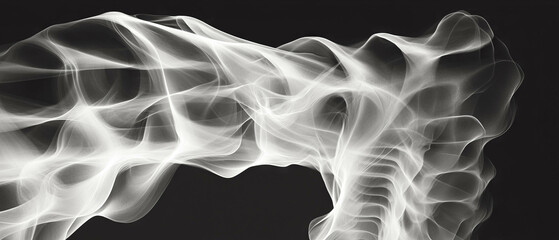 Poster - X-ray texture with sharp and defined details showing intricate structural patterns