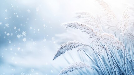 Poster - Gentle Snowflakes Falling Over Frosted Grass in Winter Landscape