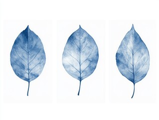 Canvas Print - Blue leaves on white background