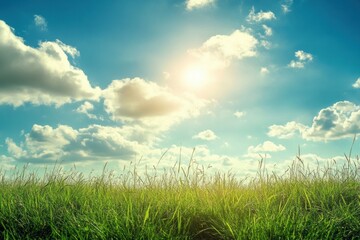 Poster - Bright sunshine illuminates lush green grass under a clear blue sky with fluffy clouds and ample space for text. Generative AI