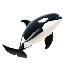 a watercolor illustration of an orca, isolated on a white background. orca vector.