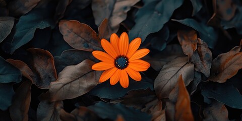 Sticker - Orange Flower on Leaves