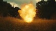 © Ika - Fiery explosion in a field at sunset.