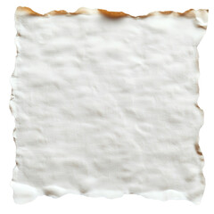 Poster - Torn edge parchment paper piece on a wooden surface with natural textures and colors on white background , cut out.