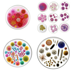 Poster - microscopic view of various types of bacteria under the microscope in a scientific laboratory settin