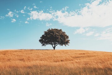 Fototapete - Vibrant landscape with a solitary tree on a golden field under a clear blue sky. Generative AI