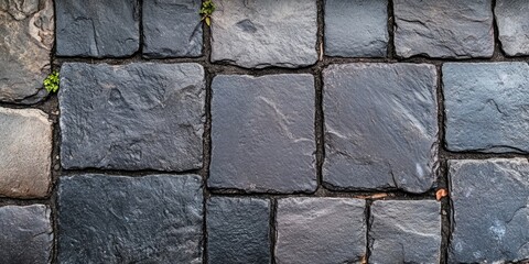 Canvas Print - Stone wall with plant growth