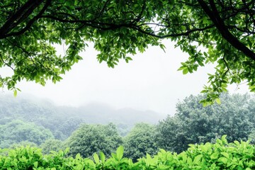 Leinwandbilder - Lush green leaves frame serene landscape under soft morning light with misty mountains in the distance. Generative AI