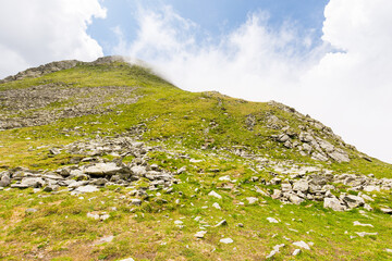 Wall Mural - fagaras mountain ridge. fresh air. beautiful summer landscape of romania. sunny day. green rocky cli
