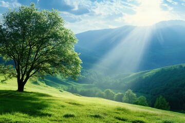 Aufkleber - Natural landscape featuring sunlight illuminating a green hillside with a solitary tree and vibrant greenery. Generative AI