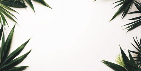 Wall Mural - Tropical leaves frame on white background.