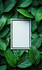 Leinwandbilder - Empty rectangular frame positioned on a bed of fresh green leaves for creative mock up and text placement. Generative AI