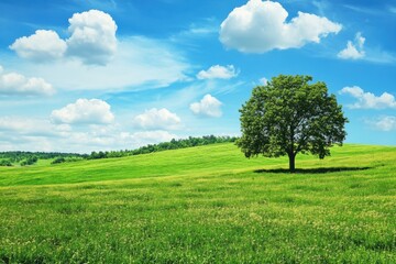 Poster - Expansive green field with a solitary tree under a bright blue sky surrounded by fluffy clouds. Generative AI